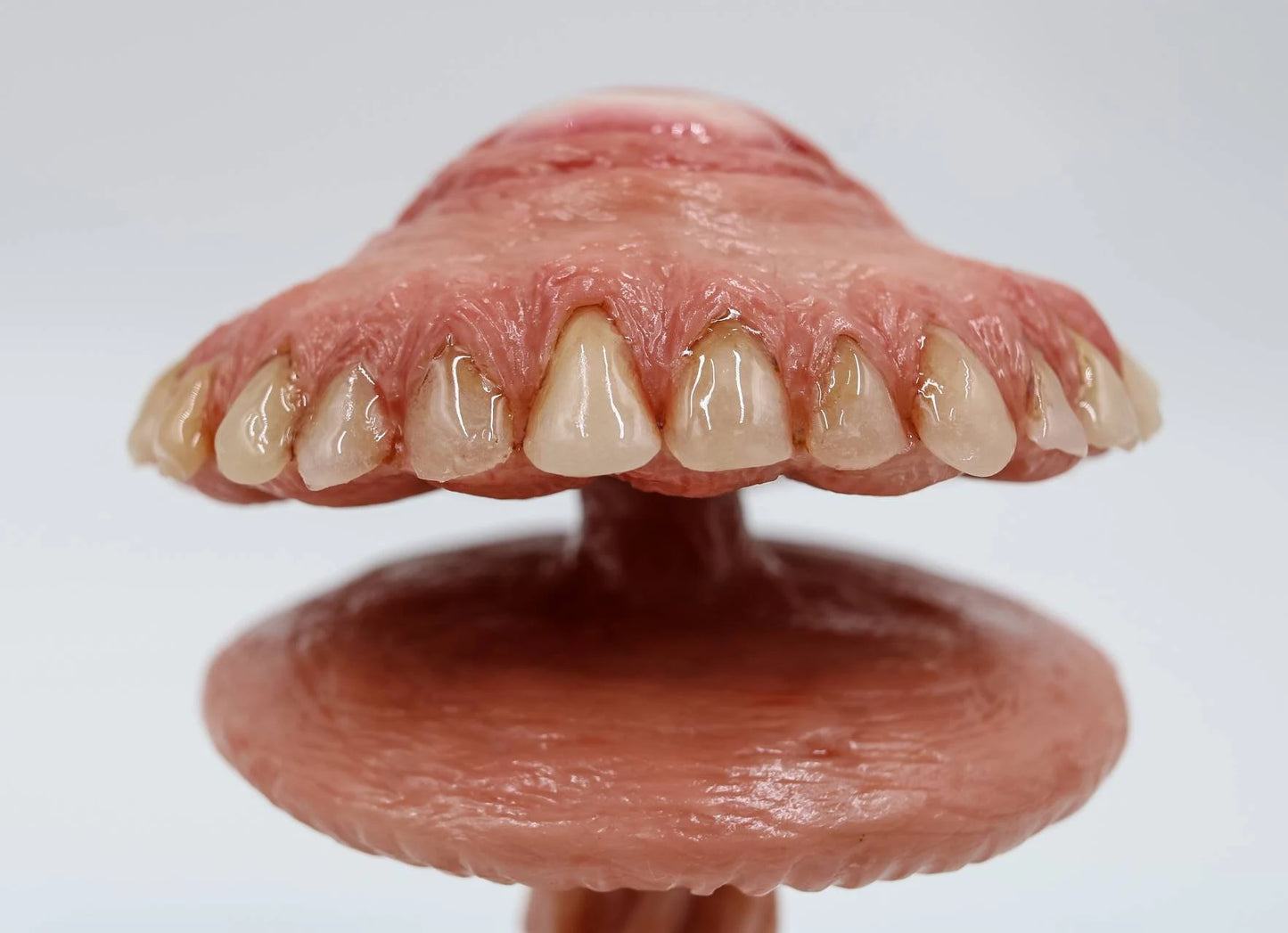 Flesh_Mushroom_Teeth_Morbid_Strange_Skin_Sculpture_Art