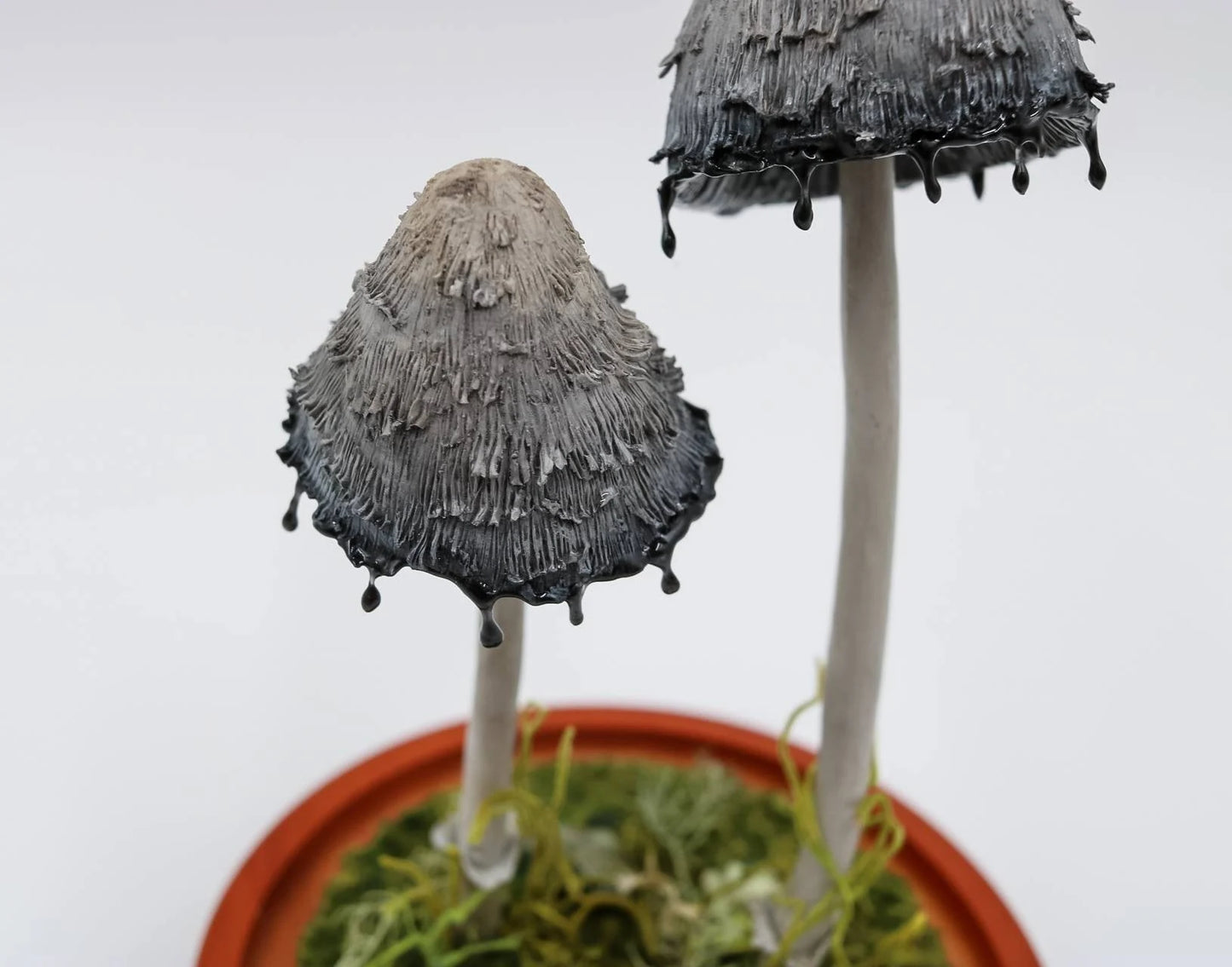 Shaggy mane ink cap mushroom sculpture